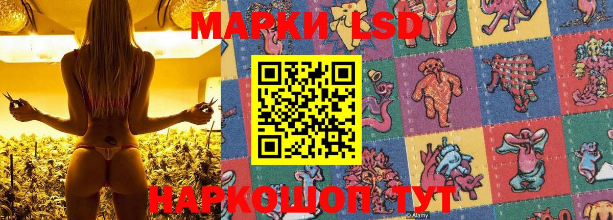 Марки N-bome 1500мкг Тверь