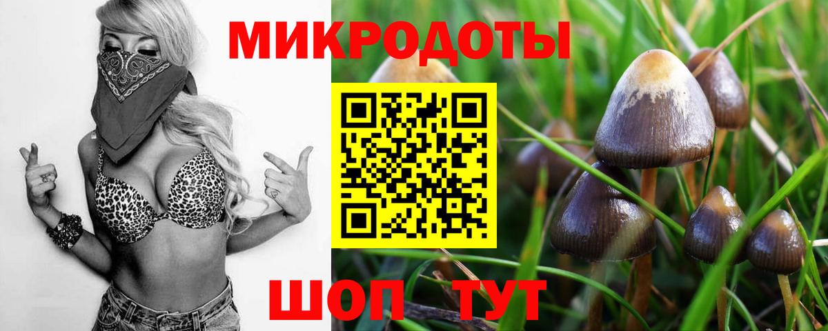 Псилоцибиновые грибы Cubensis  Вход с VPN  Тверь 